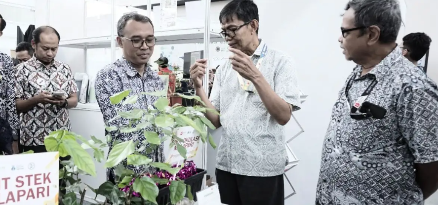 Tanaman Malapari (Pongamia pinnata) dinilai memiliki prospek besar sebagai bahan baku biodiesel. Potensi tersebut diperkenalkan dalam Capacity Building dan Expo Organisasi Riset Hayati dan Lingkungan (ORHL) BRIN 2026 yang berlangsung pada 8-9/7 di Gedung Utama Indonesia Convention Center (ICC), Kawasan Sains dan Teknologi Soekarno, Cibinong, Kabupaten Bogor. (Foto: Humas BRIN)