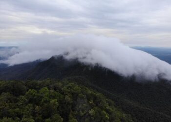 Taman Nasional Gunung Maras.(Foto: Humas Kemenhut)