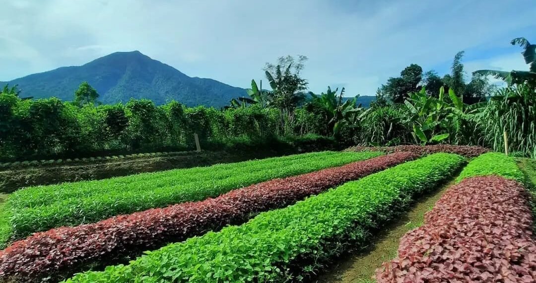 Desa Wisata di Kabupaten Bogor.(Foto: Humas Pemkab Bogor)