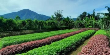 Desa Wisata di Kabupaten Bogor.(Foto: Humas Pemkab Bogor)