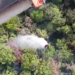 Pengerahan helikopter water bombing untuk pemadaman karhutla di Kabupaten Teluk Bintuni, Papua Barat, Jumat (28/8). (Foto: BNPB)