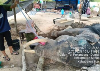Jovi, sang 'Pahlawan' Konservasi.(Foto: Humas Kemenhut)