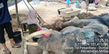 Jovi, sang 'Pahlawan' Konservasi.(Foto: Humas Kemenhut)