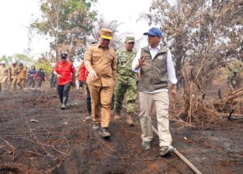 Menteri Kehutanan (Menhut) Raja Juli Antoni saat meninjau lokasi kebakaran di Kalimantan Barat.(Foto: Dok. Kemenhut)