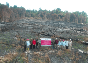 Kementerian Kehutanan menjatuhkan sanksi administratif kepada enam perusahaan pemegang Perizinan Berusaha Pemanfaatan Hutan (PBPH).(Foto: Humas Kemenhut)