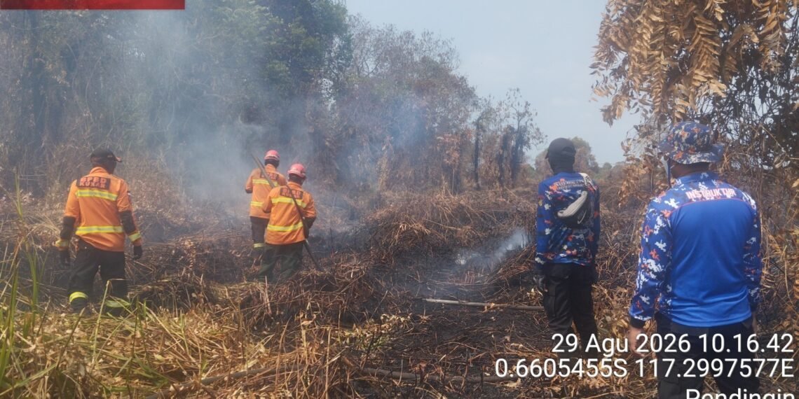 Petugas gabungan melakukan upaya pemadaman kebakaran lahan di Desa Santan Ilir, Kecamatan Marangkayu, Kabupaten Kutai Kartanegara, Provinsi Kalimantan Timur pada Rabu (26/8). (Foto: BPBD Kab. Kutai Kartanegara)