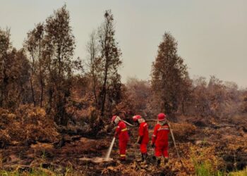Karhutla di Kalimantan.(Foto: Humas Kemenhut)