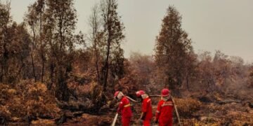 Karhutla di Kalimantan.(Foto: Humas Kemenhut)