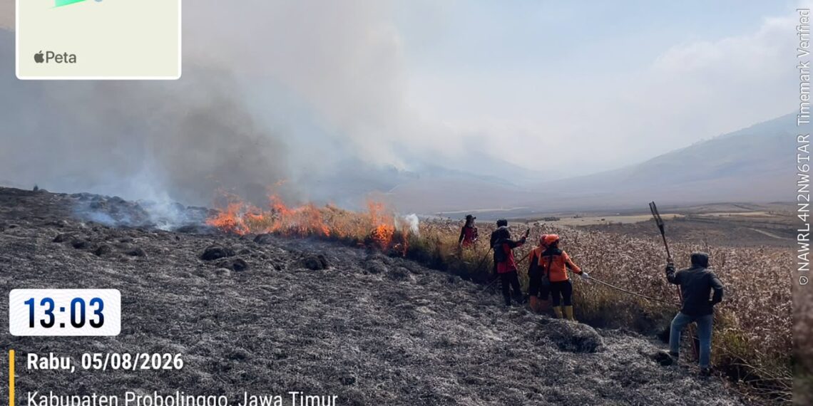 Tim gabungan melakukan pemadaman darat menggunakan gepyok dan sprayer di Kecamatan Sukapura, Kabupaten Probolinggo, Jawa Timur, Rabu (5/8). (Foto: BPBD Provinsi Jawa Timur Via BNPB)