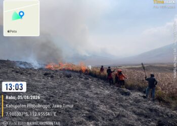 Tim gabungan melakukan pemadaman darat menggunakan gepyok dan sprayer di Kecamatan Sukapura, Kabupaten Probolinggo, Jawa Timur, Rabu (5/8). (Foto: BPBD Provinsi Jawa Timur Via BNPB)