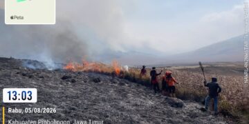 Tim gabungan melakukan pemadaman darat menggunakan gepyok dan sprayer di Kecamatan Sukapura, Kabupaten Probolinggo, Jawa Timur, Rabu (5/8). (Foto: BPBD Provinsi Jawa Timur Via BNPB)