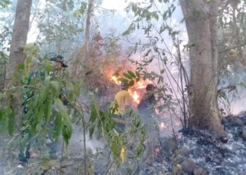 BPBD didukung unsur terkait melakukan upaya pemadaman bencana kebakaran di Desa Mategal dan Giripurno, Kabupaten Magetan, Provinsi Jawa Timur Rabu (19/8). (Foto: BPBD Provinsi Jawa Timur)