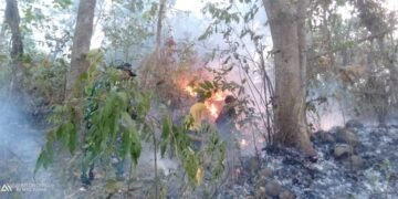BPBD didukung unsur terkait melakukan upaya pemadaman bencana kebakaran di Desa Mategal dan Giripurno, Kabupaten Magetan, Provinsi Jawa Timur Rabu (19/8). (Foto: BPBD Provinsi Jawa Timur)