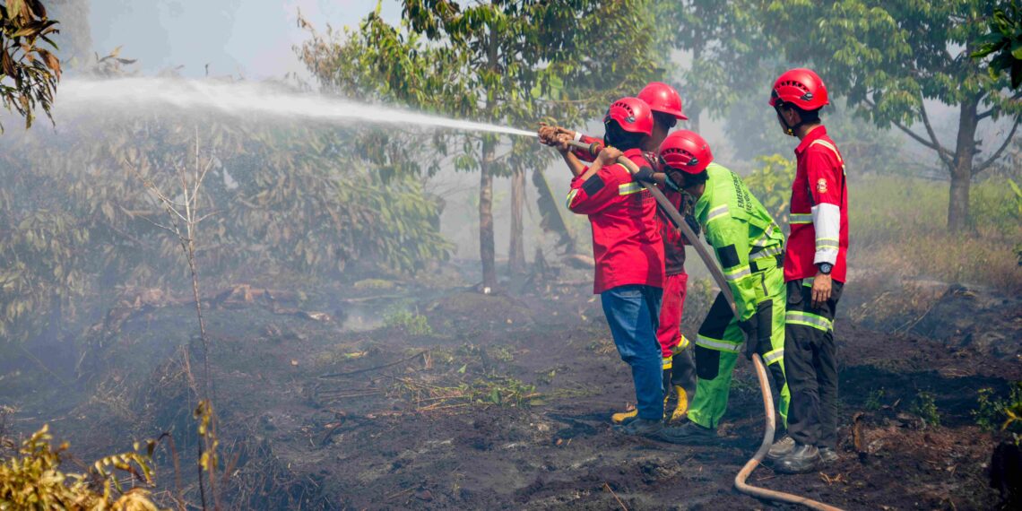 Petugas memadamkan kebakaran hutan dan lahan di Kalimantan Selatan yang ditinjau Menteri Kehutanan.(Foto: Dok. Kehutanan)