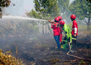 Petugas memadamkan kebakaran hutan dan lahan di Kalimantan Selatan yang ditinjau Menteri Kehutanan.(Foto: Dok. Kehutanan)