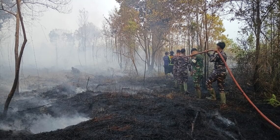Tim gabungan melakukan upaya pemadaman kebakaran hutan dan lahan yang terjadi di Kabupaten Lingga, Provinsi Kepulauan Riau pada Rabu (26/8). (Foto: BPBD Kabupaten Lingga Via BNPB)