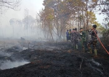 Tim gabungan melakukan upaya pemadaman kebakaran hutan dan lahan yang terjadi di Kabupaten Lingga, Provinsi Kepulauan Riau pada Rabu (26/8). (Foto: BPBD Kabupaten Lingga Via BNPB)