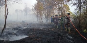 Tim gabungan melakukan upaya pemadaman kebakaran hutan dan lahan yang terjadi di Kabupaten Lingga, Provinsi Kepulauan Riau pada Rabu (26/8). (Foto: BPBD Kabupaten Lingga Via BNPB)