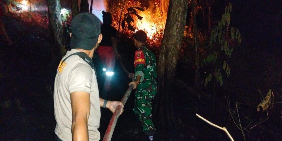 Petugas gabungan berupaya memadamkan api pada kebakaran hutan dan lahan (Karhutla) yang terjadi di Desa Taddakong, Kecamatan Lembang, Kabupaten Pinrang, Provinsi Sulawesi Selatan, Sabtu (1/8). (Foto: BPBD Kabupaten Pinrang)