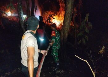 Petugas gabungan berupaya memadamkan api pada kebakaran hutan dan lahan (Karhutla) yang terjadi di Desa Taddakong, Kecamatan Lembang, Kabupaten Pinrang, Provinsi Sulawesi Selatan, Sabtu (1/8). (Foto: BPBD Kabupaten Pinrang)