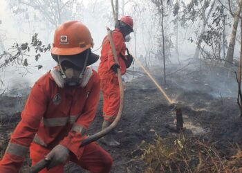 Kebakaran hutan dan lahan.(Foto: Humas Kemenhut)