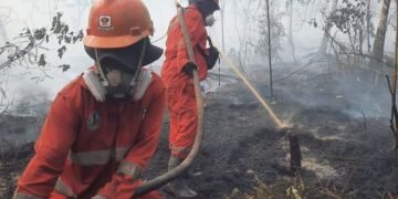 Kebakaran hutan dan lahan.(Foto: Humas Kemenhut)