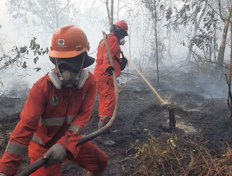 Kebakaran hutan dan lahan.(Foto: Humas Kemenhut)