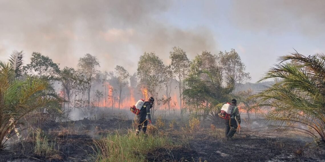Petugas gabungan berhasil memadamkan kebakaran hutan yang terjadi di Desa Lenggang, Kec. Gantung, Kab. Belitung Timur, Rabu (26/8). (Foto: BPBD Kabupaten Belitung Timur)