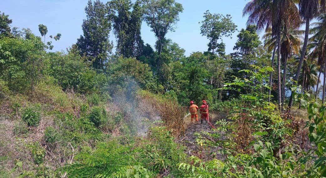 Petugas gabungan melakukan pemadaman kebakaran lahan di Desa Tongku, Kecamatan Tojo, Kabupaten Tojo Una-Una, Sulawesi Tengah, Minggu (16/8). (FOTO: BPBD Kabupaten Tojo Una-Una.)