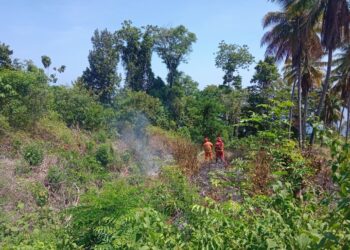 Petugas gabungan melakukan pemadaman kebakaran lahan di Desa Tongku, Kecamatan Tojo, Kabupaten Tojo Una-Una, Sulawesi Tengah, Minggu (16/8). (FOTO: BPBD Kabupaten Tojo Una-Una.)