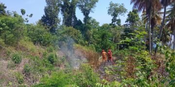 Petugas gabungan melakukan pemadaman kebakaran lahan di Desa Tongku, Kecamatan Tojo, Kabupaten Tojo Una-Una, Sulawesi Tengah, Minggu (16/8). (FOTO: BPBD Kabupaten Tojo Una-Una.)
