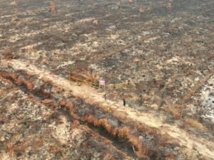Kebakaran lahan. (Foto: Humas Kemenhut)