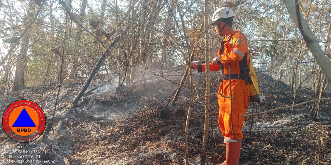 BPBD Kabupaten Klaten melakukan pemadaman dan pendinginan kebakaran hutan dan lahan di wilayah Kabupaten Klaten, Provinsi Jawa Tengah, pada Rabu (12/8). (Foto:BPBD Kabupaten Klaten)