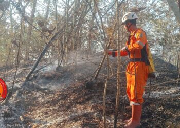 BPBD Kabupaten Klaten melakukan pemadaman dan pendinginan kebakaran hutan dan lahan di wilayah Kabupaten Klaten, Provinsi Jawa Tengah, pada Rabu (12/8). (Foto:BPBD Kabupaten Klaten)
