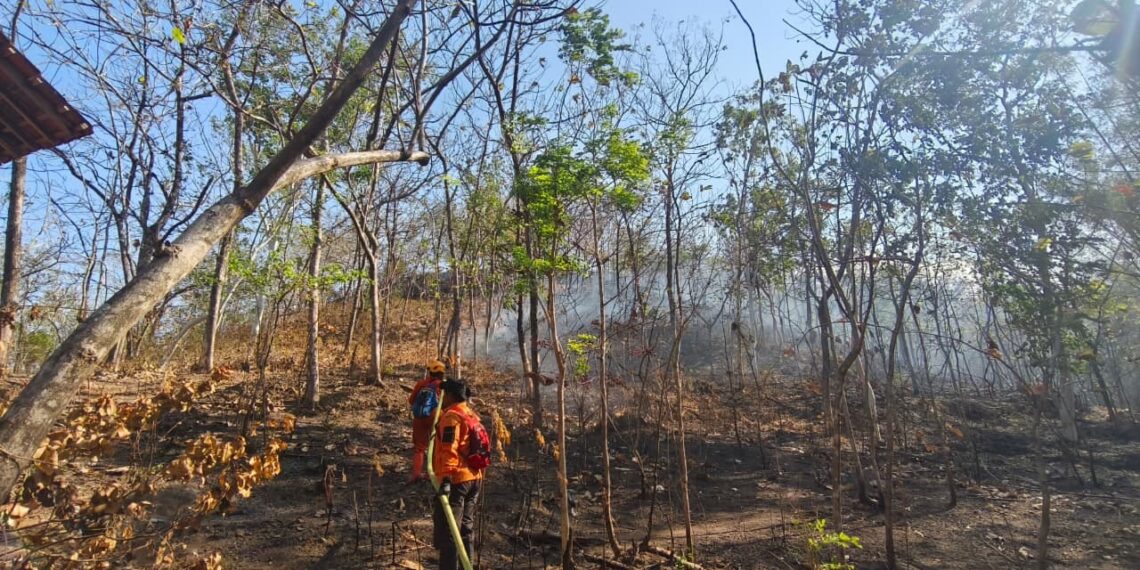 Tim gabungan sedang memadamkan api yang membakar lahan di Kabupaten Ponorogo, Jawa Timur pada Sabtu (8/8). (Foto: BPBD Kabupaten Ponorogo)