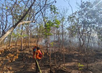 Tim gabungan sedang memadamkan api yang membakar lahan di Kabupaten Ponorogo, Jawa Timur pada Sabtu (8/8). (Foto: BPBD Kabupaten Ponorogo)