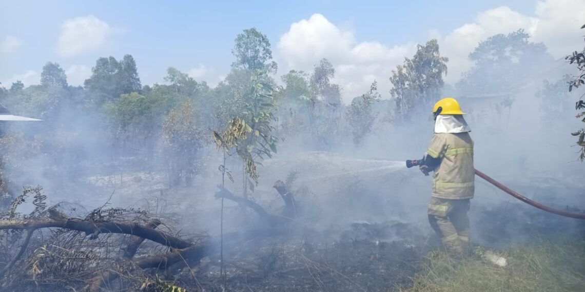 Petugas dari tim gabungan berupaya memadamkan api yang membakar sebuah lahan seluas 13,87 hektare di Kabupaten Belitung Timur, Provinsi Kepulauan Bangka Belitung, Senin (17/8). (Foto: BPBD Kabupaten Belitung Timur)