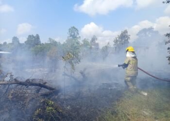 Petugas dari tim gabungan berupaya memadamkan api yang membakar sebuah lahan seluas 13,87 hektare di Kabupaten Belitung Timur, Provinsi Kepulauan Bangka Belitung, Senin (17/8). (Foto: BPBD Kabupaten Belitung Timur)