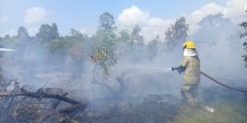 Petugas dari tim gabungan berupaya memadamkan api yang membakar sebuah lahan seluas 13,87 hektare di Kabupaten Belitung Timur, Provinsi Kepulauan Bangka Belitung, Senin (17/8). (Foto: BPBD Kabupaten Belitung Timur)