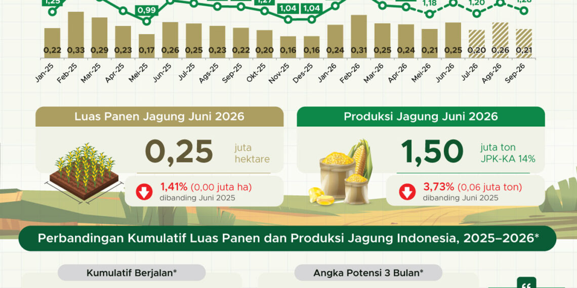Luas panen jagung pililan Juni 2026.(Image: BPS)
