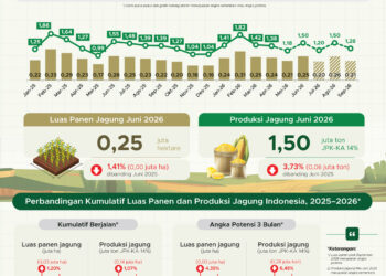Luas panen jagung pililan Juni 2026.(Image: BPS)