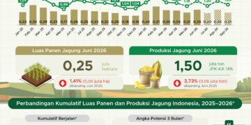 Luas panen jagung pililan Juni 2026.(Image: BPS)