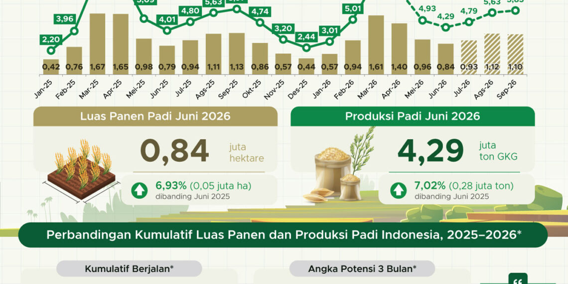 Luas panen padi Juni 2026.(Image: BPS)