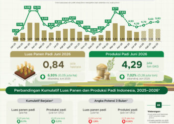 Luas panen padi Juni 2026.(Image: BPS)