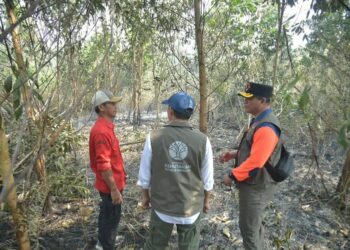 Menteri Kehutanan Raja Antoni meninjau langsung penanganan kebakaran hutan dan lahan (karhutla) di Kabupaten Banjar, Kalimantan Selatan.(Foto: Dok. Kemenhut)