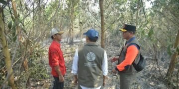 Menteri Kehutanan Raja Antoni meninjau langsung penanganan kebakaran hutan dan lahan (karhutla) di Kabupaten Banjar, Kalimantan Selatan.(Foto: Dok. Kemenhut)