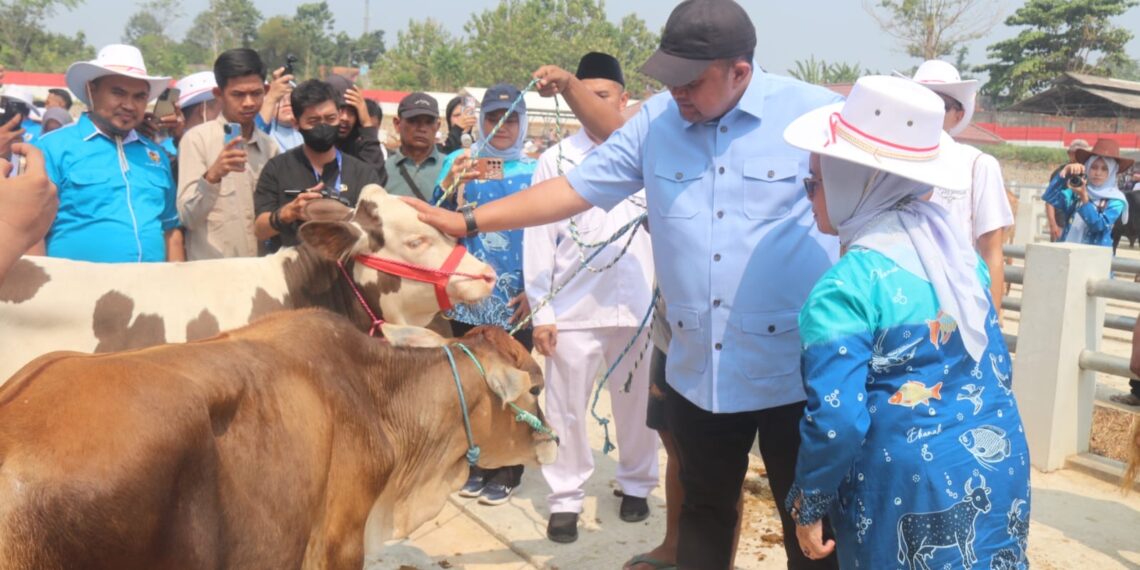 Pasar hewan Jonggol Kabupaten Bogor.(Foto: Humas Pemkab Bogor)