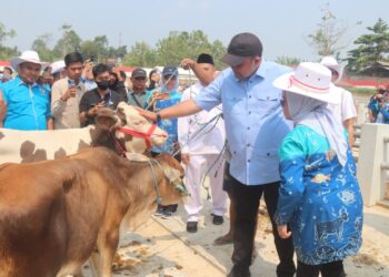 Pasar hewan Jonggol Kabupaten Bogor.(Foto: Humas Pemkab Bogor)