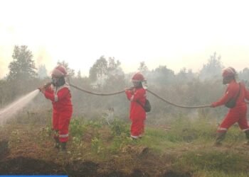 Titik panas di sejumlah provinsi menurut Data terbaru SiPongi Kementerian Kehutanan menunjukkan adanya penurunan.(Foto: Humas Kemenhut)