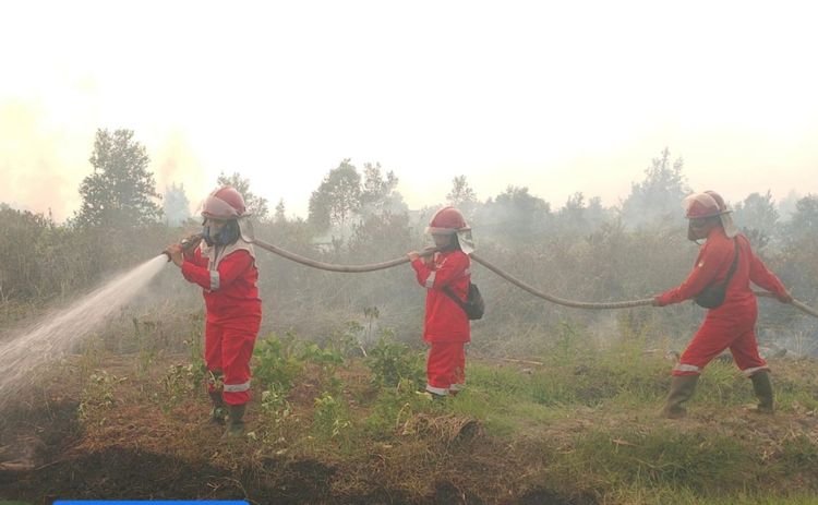 Titik panas di sejumlah provinsi menurut Data terbaru SiPongi Kementerian Kehutanan menunjukkan adanya penurunan.(Foto: Humas Kemenhut)